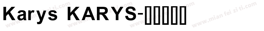 Karys KARYS字体转换